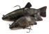 Mamac Fox Rage Replicant Jointed Tench Super Natural Tench