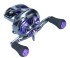 Multiplikator Daiwa Prorex XR TWS 300PL