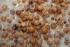 Nakládaný Tygří Ořech LK Baits N.H.D.C. Tiger Nuts Mix 3 kg
