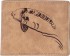 Novčanik Giants Fishing Brown Wallet Swimming Carp