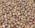 Partikel Mikbaits 10kg