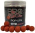 Plávajúce Boilies Starbaits Pop-Up Pro Red One