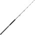 Prút Penn Squal II Trolling Casting Rod Prút Penn Squal II Trolling Casting Rod