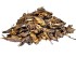 Sušeni Cvrčci LK Baits Pet 50g, S