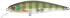 Wobler Illex Squad Minnow SP 9,5cm 14gr