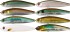 Wobler Illex Stream Ripper 11cm 27,9gr