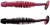 10kom - Gumeni Mamac Berkley PowerBait Power Leech 6cm Salmon Egg Red/Black
