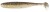 10kom - Gumeni Mamac Keitech Easy Shiner 3" 7,6cm 2,2gr Gold Flash Minnow