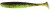 10kom - Gumeni Mamac Keitech Easy Shiner 3" 7,6cm 2,2gr Green Pumpkin PP/Chart