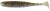 10kom - Gumeni Mamac Keitech Easy Shiner 3" 7,6cm 2,2gr Silver Shad