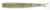 10kom - Gumeni Mamac Keitech Live Impact 4" 10,2cm 3gr Silver Shad