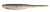 10kom - Gumeni Mamac Keitech Shad Impact 3" 7,6cm 2,2gr