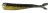 10kom - Gumeni Mamac Konger Twinkey Shad 8,2cm