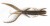 10kom - Gumeni Mamac Lucky John Hogy Shrimp 5,6cm