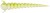 10kom - Gumeni mamac Westin Greedy Worm 5,5cm White/Chartreuse Garlic/Cheese