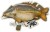 10kom - Mix naljepnica Giants Fishing Šaran Ljuskavi