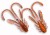 10kom - Nimfa Crazy Fish Allure 2,7cm 0,3gr 8D Orange Coffee