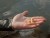 10kom - Set Umjetnih Mušica Delphin Fly Bung Trout