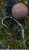 10kom - Udica Avid Carp Armorok Hooks Curve Barbed