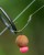 10kom - Udica Fox Edges Armapoint Super Wide Gape Long Shank