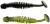 10ks - Gumová Nástraha Berkley PowerBait Power Leech 6 cm Black/Sunshine Yellow