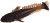 10ks - Gumová Nástraha Flagman Vibrotail Bullfish 3,5 cm Green Pumpkin