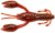 10ks - Gumová Nástraha Gunki Hourra Craw 5cm 1,4gr Brown Oil Red Flk/Red