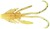 12kom - Gumeni Mamac Berkley PowerBait Power Nymph 3cm Pumpkin Chartreuse