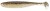 12kom - Gumeni Mamac Keitech Easy Shiner 2" 5,1cm 1gr Gold Flash Minnow