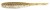 12kom - Gumeni Mamac Keitech Shad Impact 2" 5,1cm 0,9gr Green Pumpkin PP. Shad