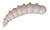 14kom - Gumeni Mamac FreshLures Junior 1,2" 3cm 0,75gr