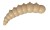 14kom - Gumeni Mamac FreshLures Junior 1,2" 3cm 0,75gr