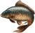 14kom - Naljepnica UnderCarp Set naljepnica