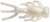 14ks - Gumová Nástraha Berkley PowerBait Mayfly 2cm Pearl White