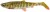 1kom - Gumeni mamac Savage Gear 3D Herring Shad 25cm 102g Clear Pike