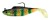2 kom - Gumena Mamac Behr Soft Bait 12cm 24gr 01