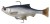 2 kom - Gumena Mamac Savage Gear 3D Pulse Tail 13cm 38,5gr Roach