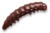 20kom - Gumeni Mamac Crazy Fish MF H-Worm Plovoucí Oliheň/Kreveta Hnědá 2,8cm