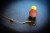20kom - Umjetni kukuruz Giants Fishing Sweet Corn Floating Yellow