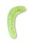25kom - Gumeni Mamac Iron Trout T-Worm 2,5cm