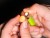 2kom - Gotov Predvez Giants Fishing Ronnie Rig With Micro Swivel