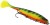2kom - Gotovi Predvez Westin Jointed Stinger