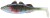2kom - Gumena Mamac Daiwa Prorex Live Perk Blue Perk 15,0cm 40g
