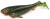 2kom - Gumeni Mamac Rage New Super Slick Shad Colours 23cm