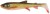 2kom - Gumeni Mamac Savage Gear 3D Whitefish Shad 15cm 27g Dirty Roach