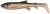 2kom - Gumeni mamac Savage Gear 3D Whitefish Shad 15cm 27g Dirty Silver