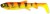 2kom - Gumeni Mamac Savage Gear 3D Whitefish Shad 15cm 27g Golden Ambulance