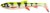 2kom - Gumeni Mamac Savage Gear 3D Whitefish Shad 15cm 27g Lemon Tiger