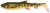 2kom - Gumeni Mamac Savage Gear 3D Whitefish Shad 15cm 27g Pike