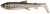 2kom - Gumeni Mamac Savage Gear 3D Whitefish Shad 15cm 27g Roach
